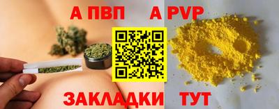 шишки Аргун