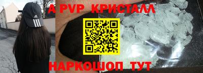 шишки Аргун
