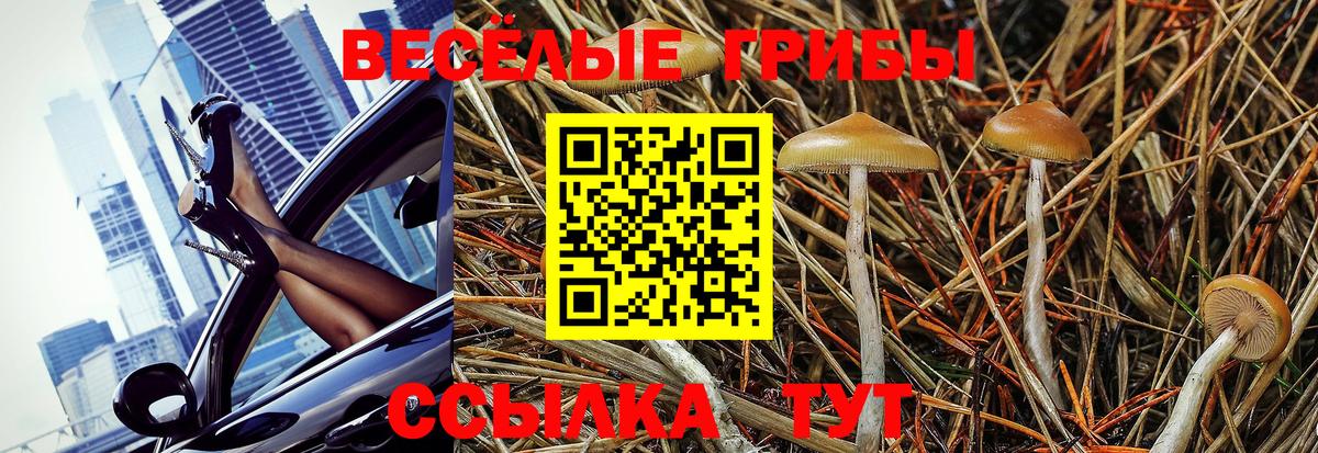 Асино  Псилоцибиновые грибы прущие грибы  закладки  Вход с VPN 