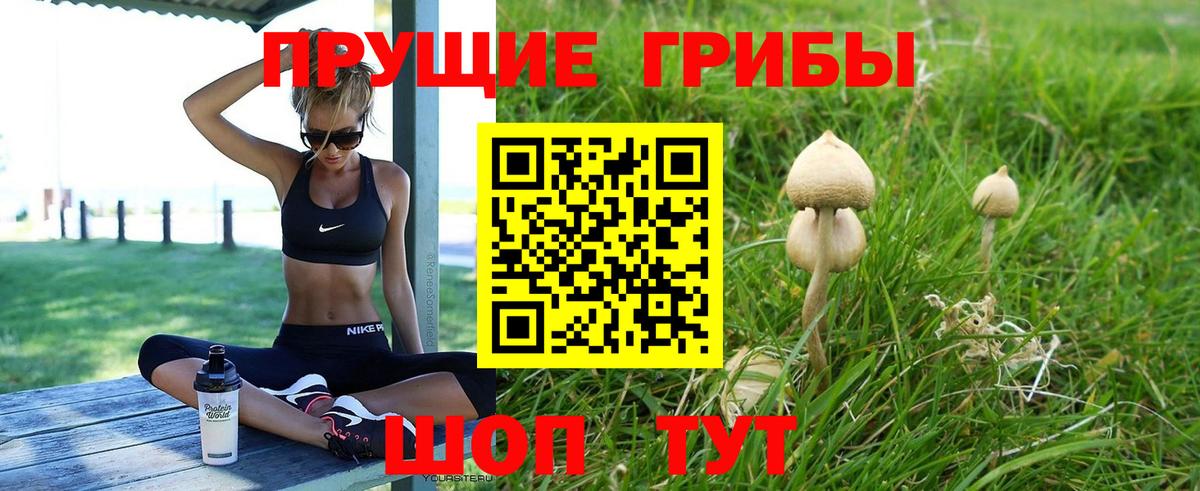 Галлюциногенные грибы мухоморы Асино